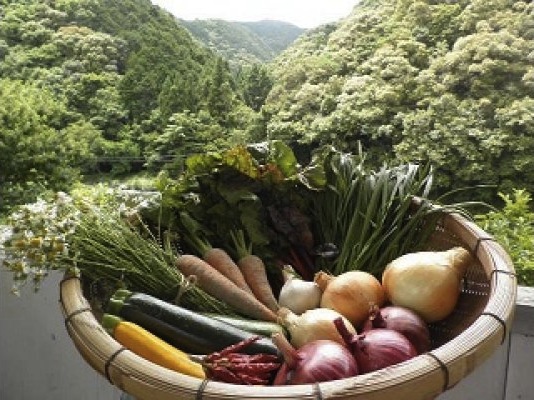 農家の季節野菜セット（農薬・化学肥料不使用）の特産品画像
