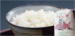 土佐の米よさこい舞(4.5kg)の特産品画像