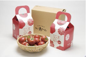 うしの恵フル-ツトマトの特産品画像