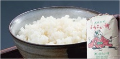 土佐の米よさこい舞(11kg)の特産品画像