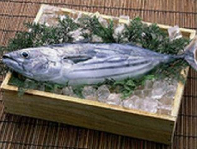 なはりごはん特選鮮魚 カツオ(1本)の特産品画像