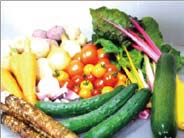 有機野菜の詰め合わせ　Mサイズの特産品画像