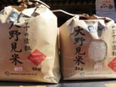 四万十の清粒　特栽大野見米　10kg分の特産品画像