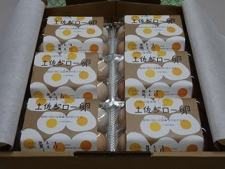 土佐ジローの卵の特産品画像