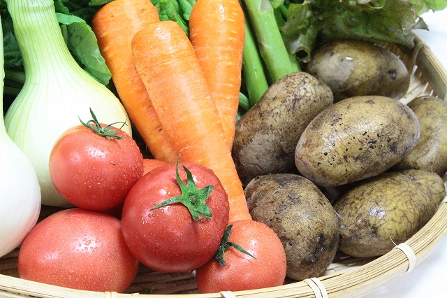 越知町産季節の野菜セット(年2回発送)の特産品画像