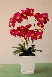 胡蝶蘭(造花)の特産品画像