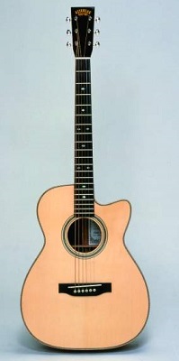 アストリアス　アコースティックギター　ソロヘリンボーン　（ケース付）の特産品画像