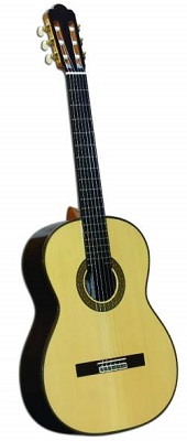 アストリアス　クラシックギター　ルネッサンス　（ケース付）の特産品画像
