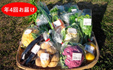 季節の野菜詰合わせセット②（年4回お届け）の特産品画像