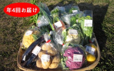 季節の野菜詰合わせセット③（年4回お届け）の特産品画像