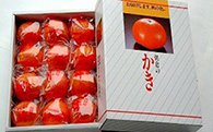 富有柿（冷蔵）化粧箱　3kg　筑前あさくら農協の特産品画像