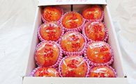 冷蔵柿（11玉）　ﾌｧｰﾑｽﾃｰｼｮﾝバサロの特産品画像