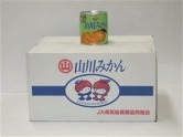 山川みかん缶詰の特産品画像