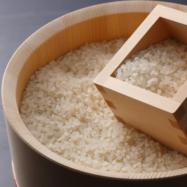福智山麓が育んだブランド米「上野の里米」5kgの特産品画像