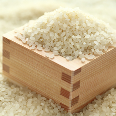 農産物直売所ふくちの郷「ほうじょう米」5kgの特産品画像