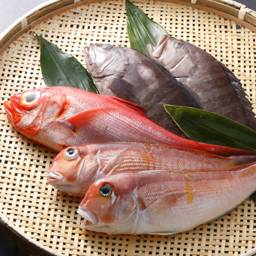 筑豊魚市場厳選！旬の天然魚を直送「特選旬魚直送便」の特産品画像