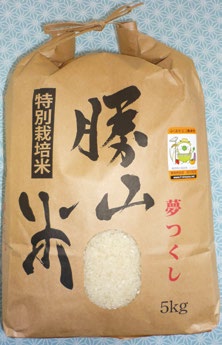 夢つくし　特別栽培　勝山米5ｋｇの特産品画像