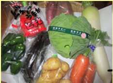 新鮮野菜の詰合せセットの特産品画像