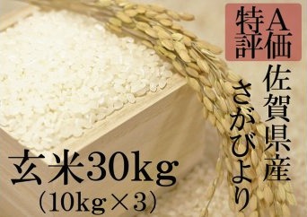 「特A」佐賀県産　さがびより　玄米３０ｋｇの特産品画像