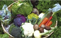 よしのがり野菜セットショート【頒布会】季節の野菜を毎月お送りしますの特産品画像