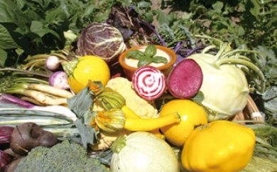 バーニャカウダ野菜セットレギュラー【頒布会】季節の野菜を毎月お送りしますの特産品画像