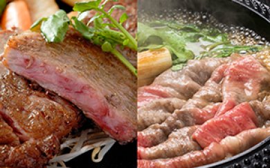佐賀牛ロースステーキ、牛モモスライスセット（A）の特産品画像