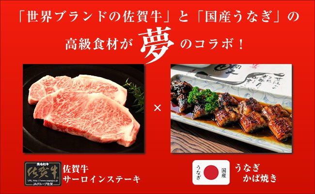 佐賀牛サーロインステーキ200g×2枚・うなぎ かば焼き（国内産）1匹の特産品画像