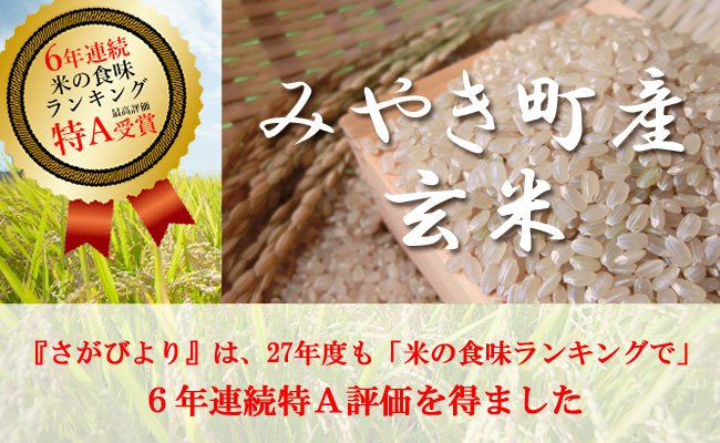みやき町産『さがびより（玄米）』６年連続特Ａ受賞【毎月20kg】の特産品画像
