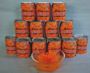 国内産みかんの缶詰セットの特産品画像