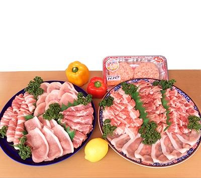 「諫美豚」おすすめバラエティセット 3kgの特産品画像