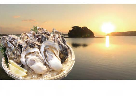 壱岐 内海湾産 殻つき生牡蠣の特産品画像