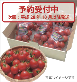 爽やかな甘さ「ママなかせ」トマトの特産品画像