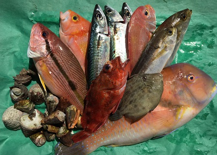 旬の地魚セットの特産品画像