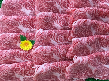 幻の五島牛　（特選）　焼肉・すき焼き用　550ｇの特産品画像