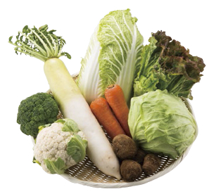 有機栽培野菜セットの特産品画像