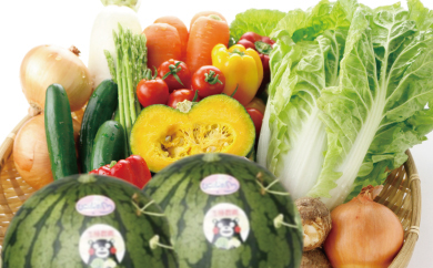養生市場の小玉すいかと春野菜セットの特産品画像