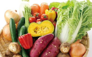 養生市場旬の野菜便の特産品画像
