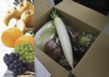 【熊本宇城の新鮮な野菜＆果物】 旬の野菜＆果物セットの特産品画像