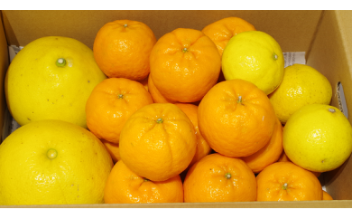農家おまかせ柑橘5kgセットの特産品画像