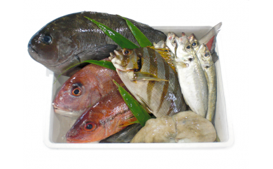 天然地魚5kgセットの特産品画像