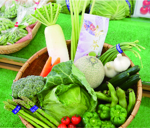 旬の野菜の詰め合わせ(送料込3000円相当)の特産品画像