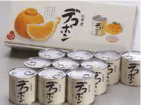 デコポン缶詰（10缶入）の特産品画像