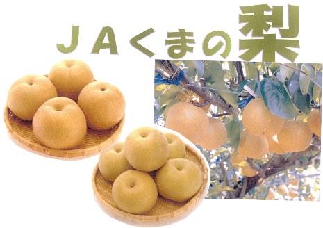 JAくまの梨の特産品画像