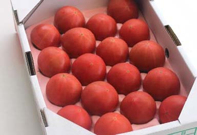 日田のトマトの特産品画像