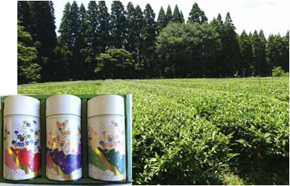 津江朝霧茶セットの特産品画像