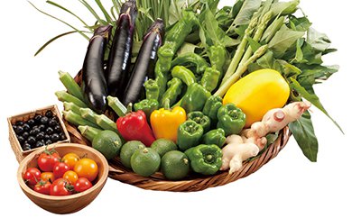 季節の野菜果物詰め合わせ（おまかせセット）の特産品画像