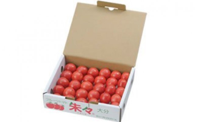 フルーツトマト朱々（Ｓサイズ）　1ｋｇ　24～30玉の特産品画像