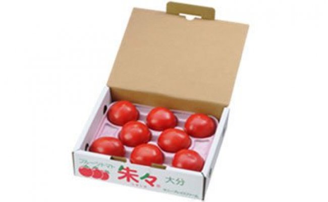 フルーツトマト朱々（LLサイズ）　1ｋｇ　8～10玉の特産品画像