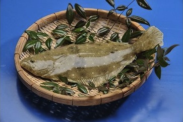 「愛海の恵み」大分豊後水道産 天然ヒラメ(約2kg　1～2枚）の特産品画像