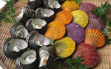 蒲江まるかじり 蒲江産地魚と各種貝類との豪華詰合せの特産品画像